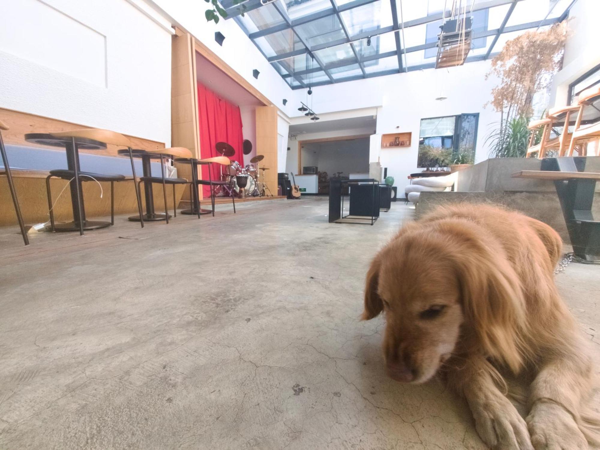 Dali Loft Travelling With Hostel Экстерьер фото